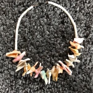 Colored Shell Choker Necklace